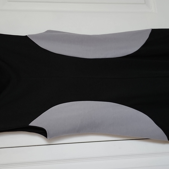 Velvet Torch Dress - Picture 6 of 7